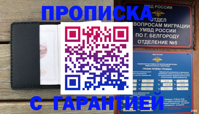 купить прописку в Ковдоре